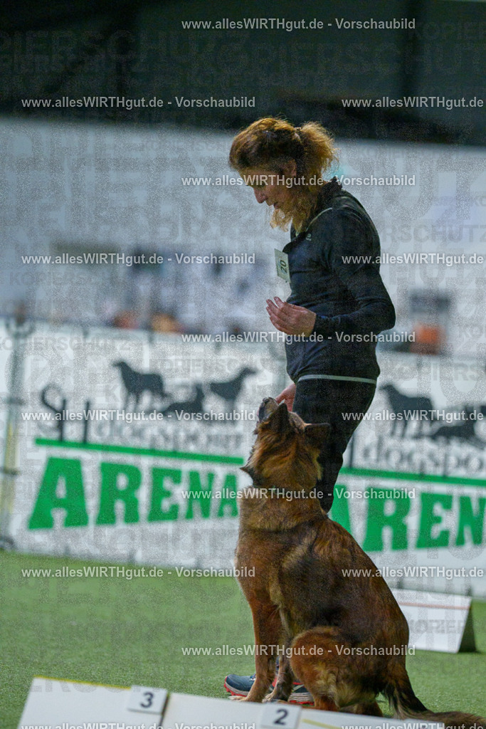 7R500924 | Professionelle Tierfotografie in Mönchengladbach von Daniel Wirth (allesWIRTHgut). Liebevolle & natürliche Bilder von Hunden & Katzen für unvergessliche Erinnerungen.