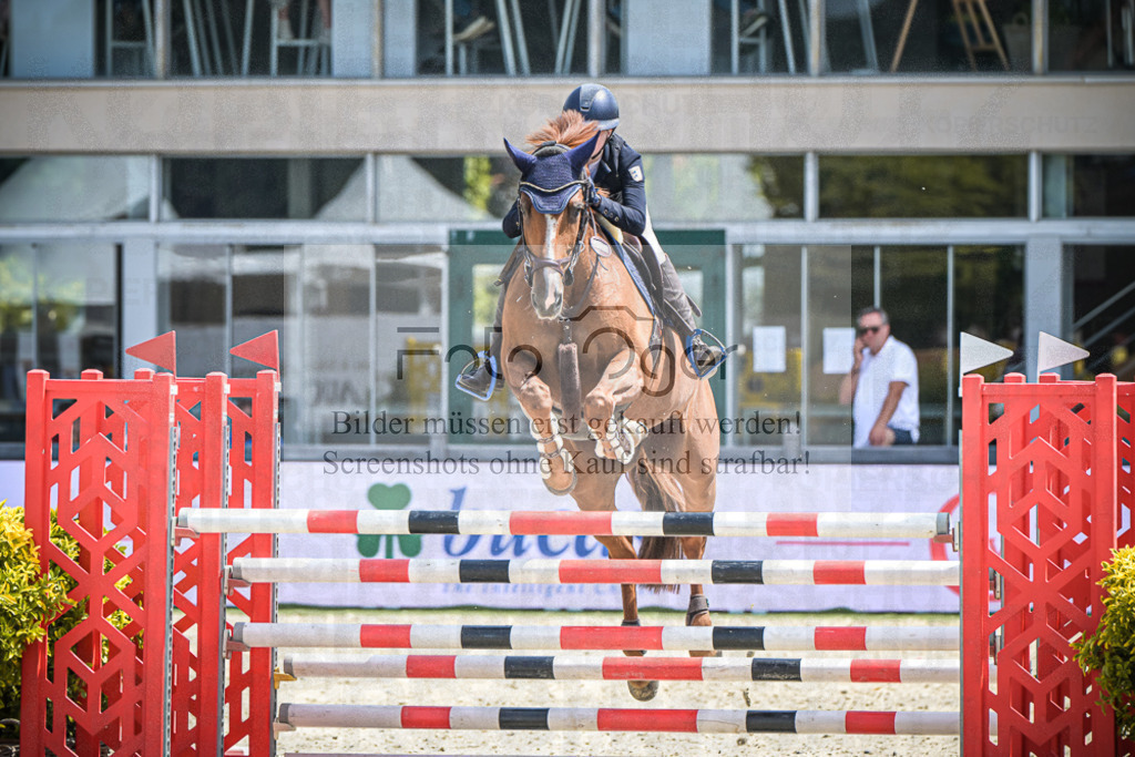 DOS_3089 | Entdecke hochwertige Reitturnierfotos von Foto Oger. Professionell, emotional und authentisch – jetzt Lieblingsmomente im Shop bestellen.Deutschlandweite Turnierfotografie. - Realisiert mit Pictrs.com