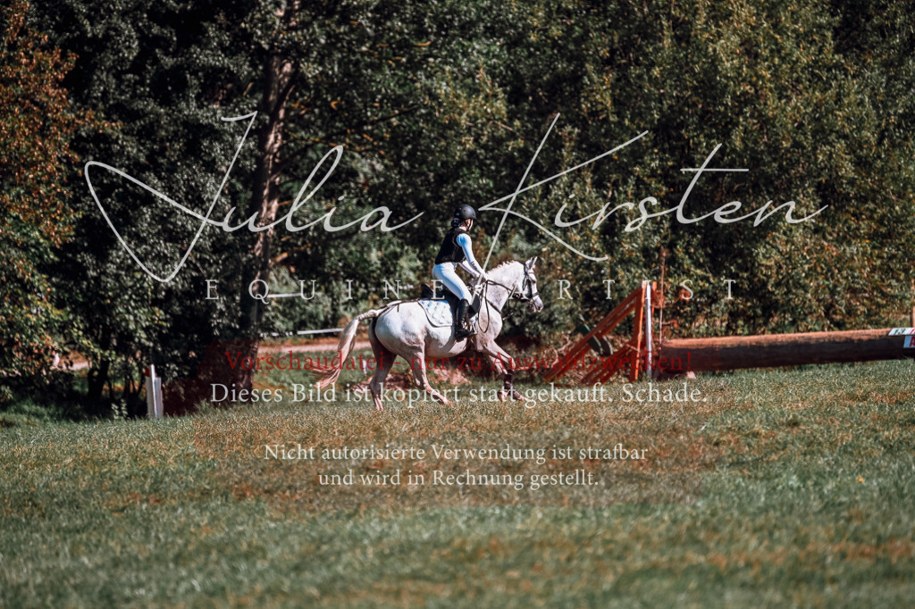 DSC_0647 | Pferde- und Turnierfotografie in Westsachsen. Pferdeportraits, Auftragszeichnungen und intuitive Kunst.