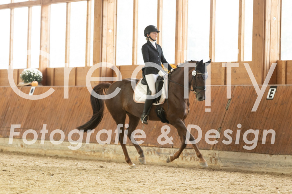 IMG_2004 | Creatify Fotografie