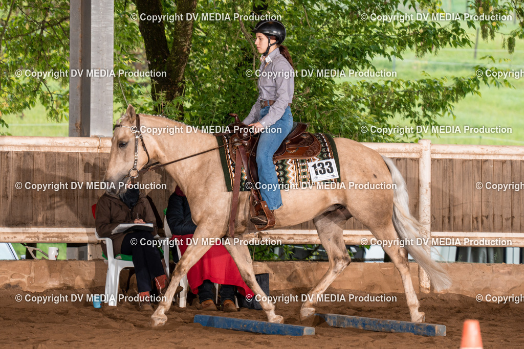 Erbach Tag 3-250 | dv-media-shop - Realisiert mit Pictrs.com