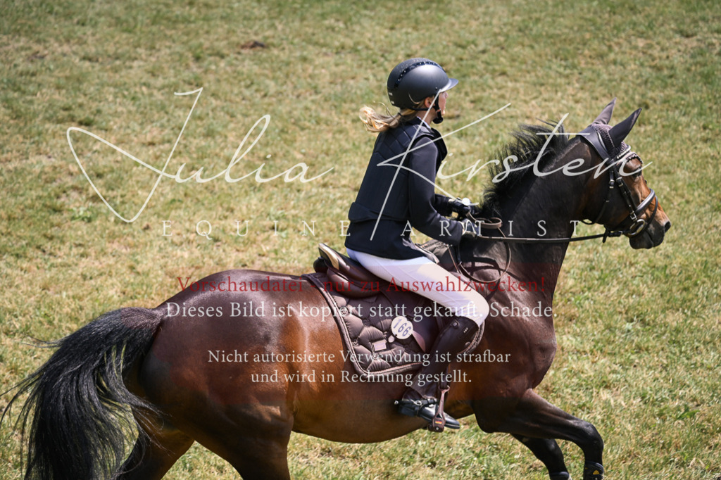 DSC_9822 | Pferde- und Turnierfotografie in Westsachsen. Pferdeportraits, Auftragszeichnungen und intuitive Kunst.