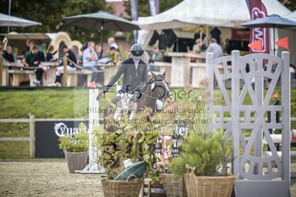 DOS_0868 | Entdecke hochwertige Reitturnierfotos von Foto Oger. Professionell, emotional und authentisch – jetzt Lieblingsmomente im Shop bestellen.Deutschlandweite Turnierfotografie. - Realisiert mit Pictrs.com