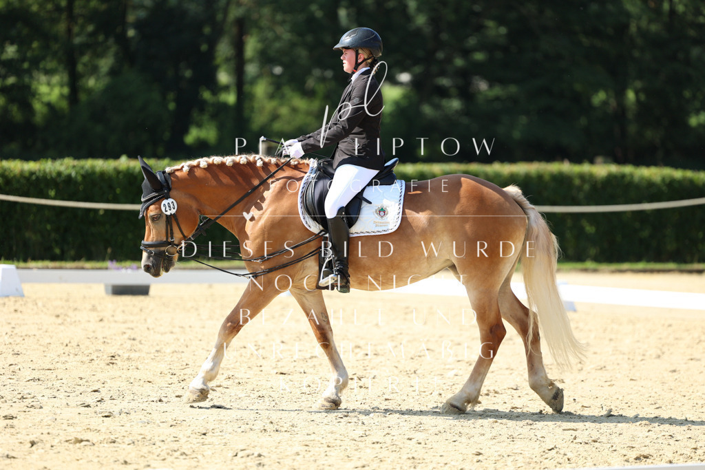 IMGM9932 | pl-fotografie