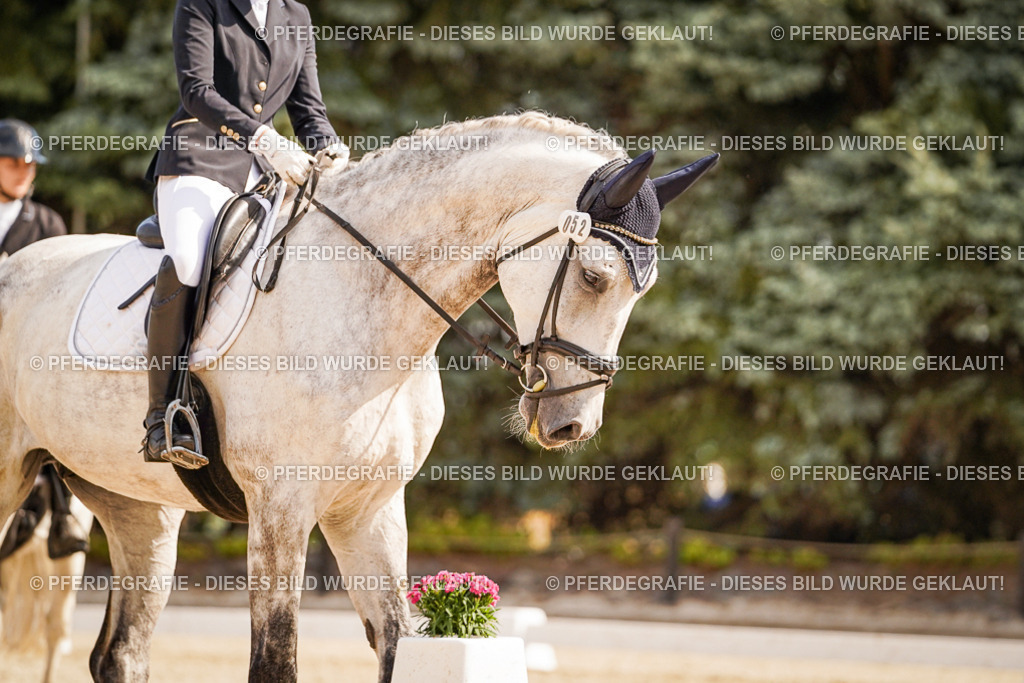 DSC01240 | Pferdegrafie