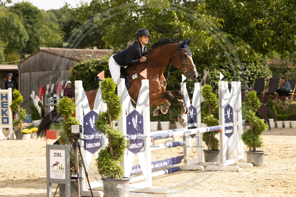 994A7842 | sabrinanicolaifotografie - Realisiert mit Pictrs.com