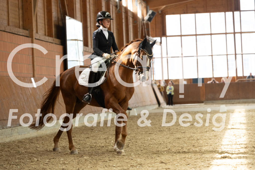 IMG_2158 | Creatify Fotografie