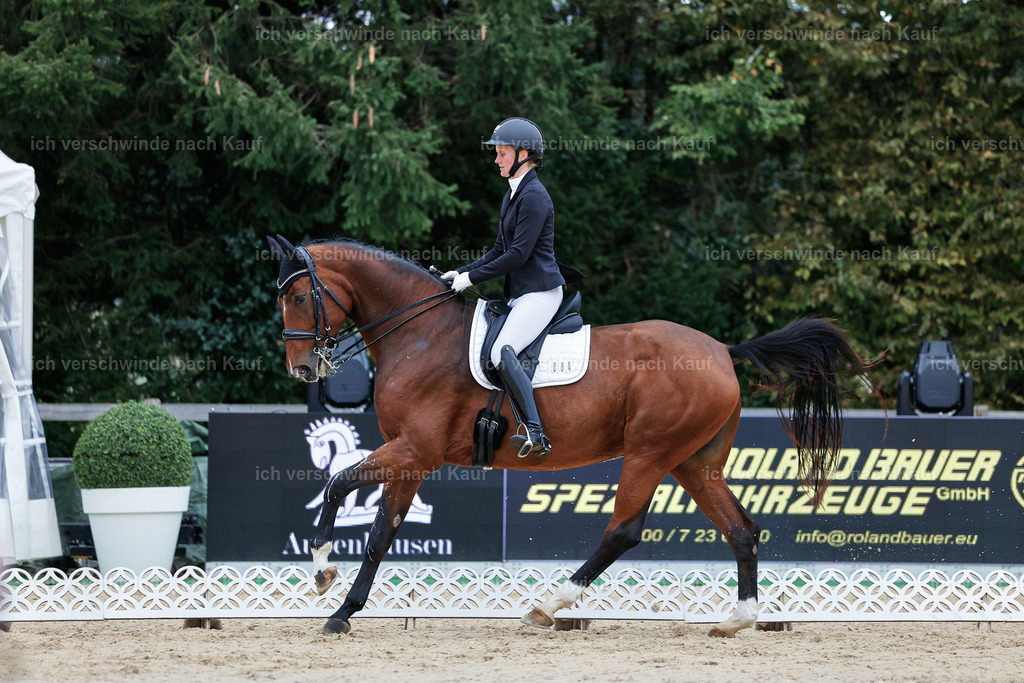 04_1-084-Dressur M__ -StoibPH-StoibPH-2660 | working equitationturnier fotograf videograf stoibphotography marixx film working equitation deutschland reitsport turnierfotografie eventfotografie equestrian events
