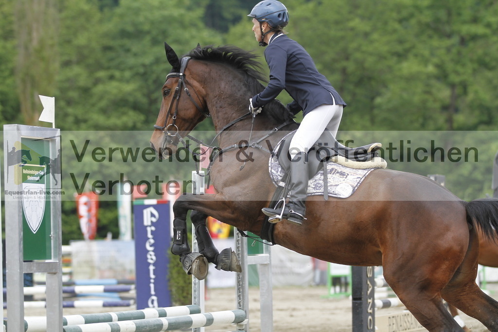 _MG_4424 | equestrian-live-com