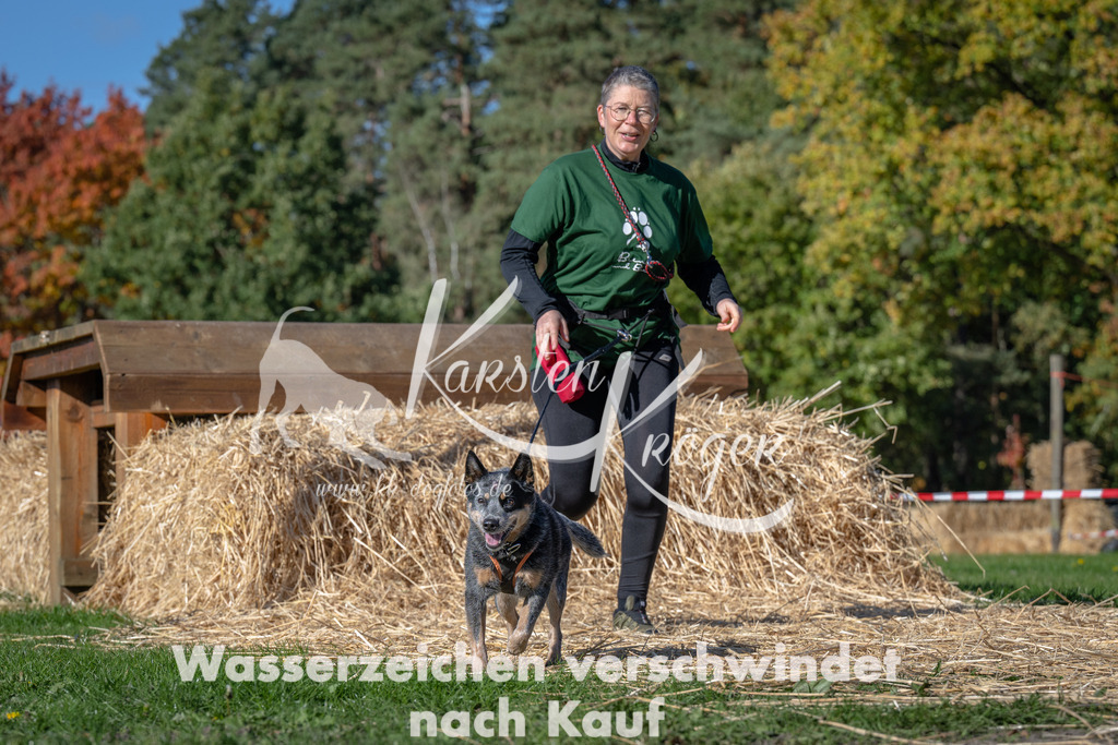 1140_ZZ91266 | kk-dogfotos