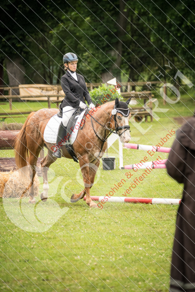 DSC_4789 | Sport-, Event- und Tierfotos in Profiqualität. Einfach auswählen, bestellen und herunterladen. Dein Moment – perfekt festgehalten.