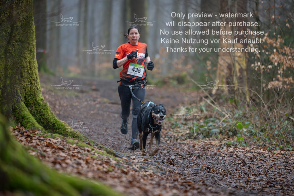 Canix_So-72 | stephaniefillaphotographie - Realisiert mit Pictrs.com