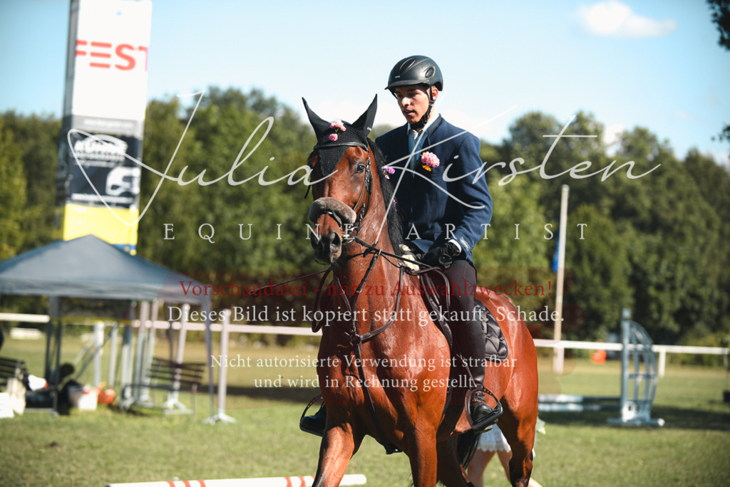 DSC_7722 | Pferde- und Turnierfotografie in Westsachsen. Pferdeportraits, Auftragszeichnungen und intuitive Kunst.