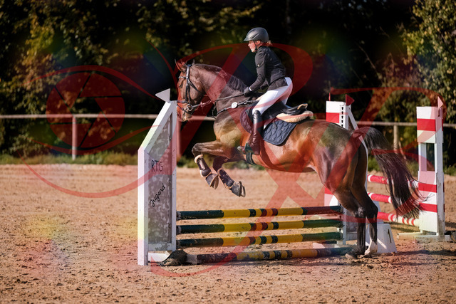 2026_10_03_Siefer-Hof_155916_Z81_79131979 | Professionelle Reitsport-, Turnier- und Eventfotografie von Robert Broda. Galerien mit ausgewählten und bearbeiteten Bildern direkt online ansehen und bestellen.