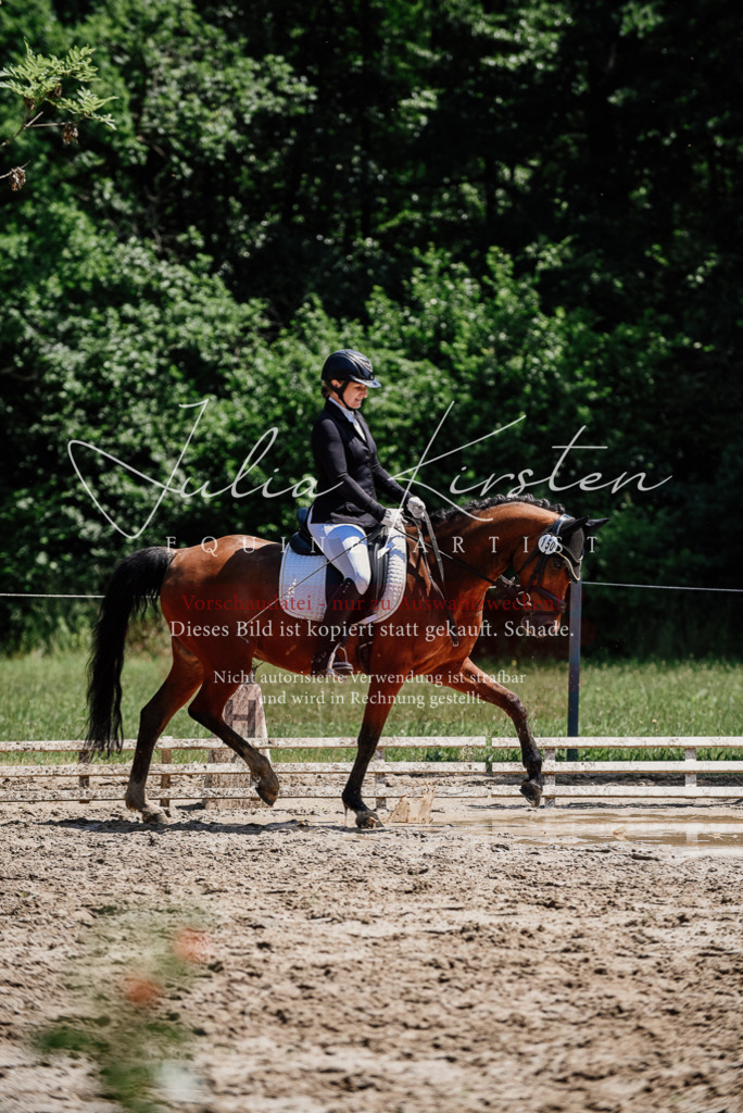DSC_1859 | Pferde- und Turnierfotografie in Westsachsen. Pferdeportraits, Auftragszeichnungen und intuitive Kunst.