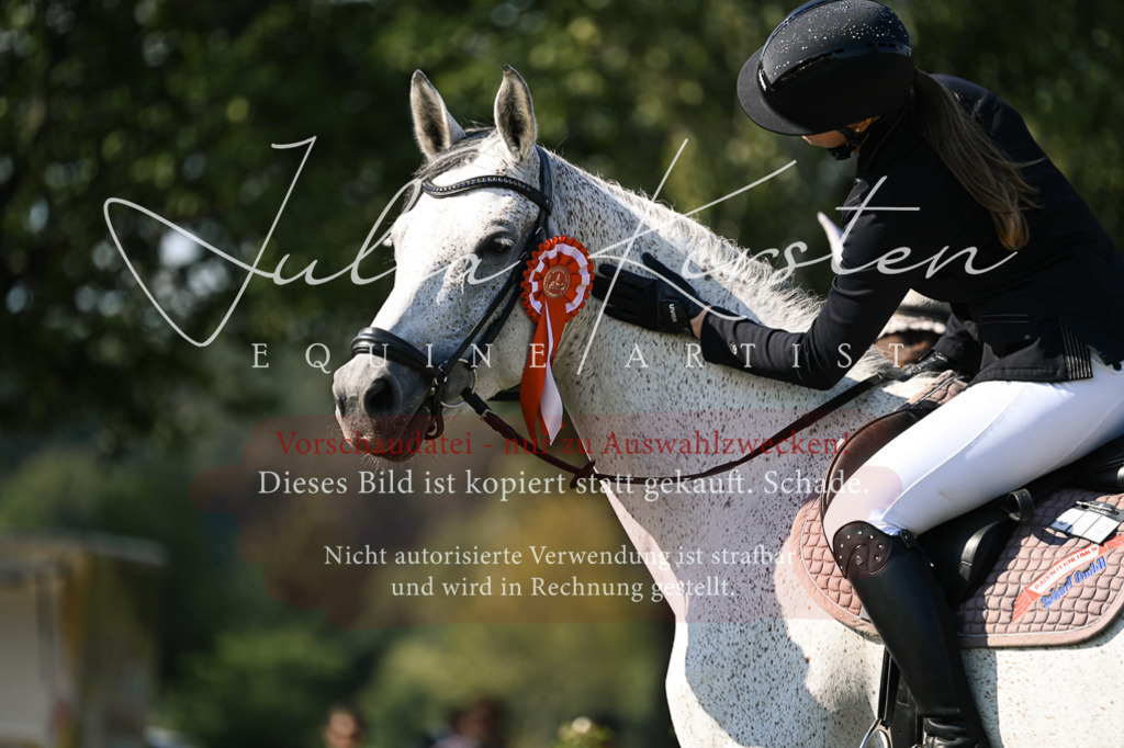 DSC_1553 | Pferde- und Turnierfotografie in Westsachsen. Pferdeportraits, Auftragszeichnungen und intuitive Kunst.