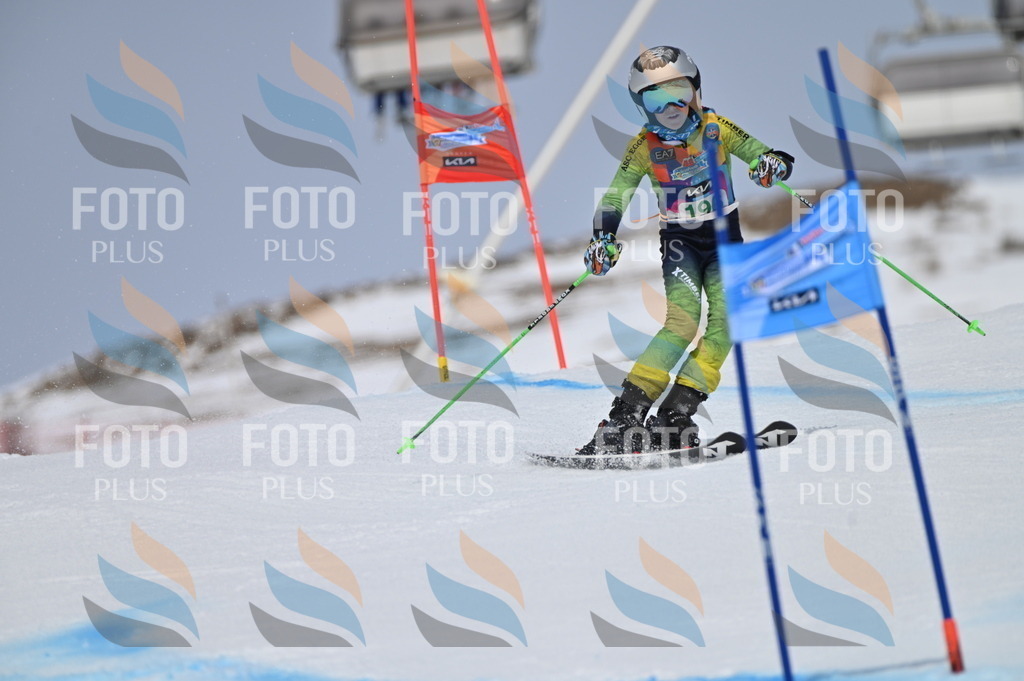 BGV_3764 | holidayphoto