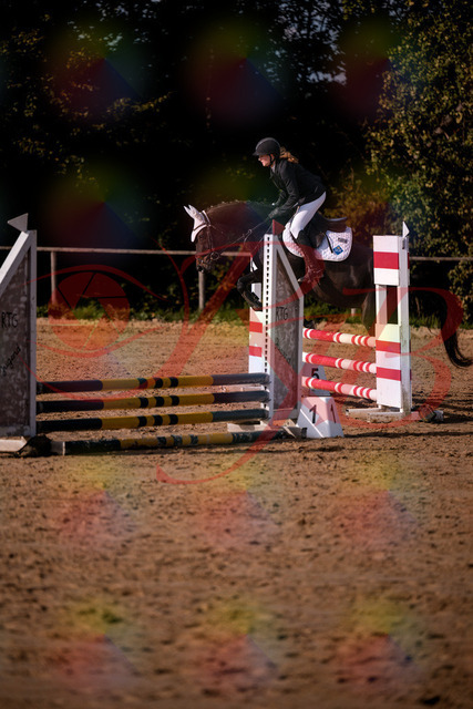 2026_10_03_Siefer-Hof_153602_Z81_48516928 | Professionelle Reitsport-, Turnier- und Eventfotografie von Robert Broda. Galerien mit ausgewählten und bearbeiteten Bildern direkt online ansehen und bestellen.