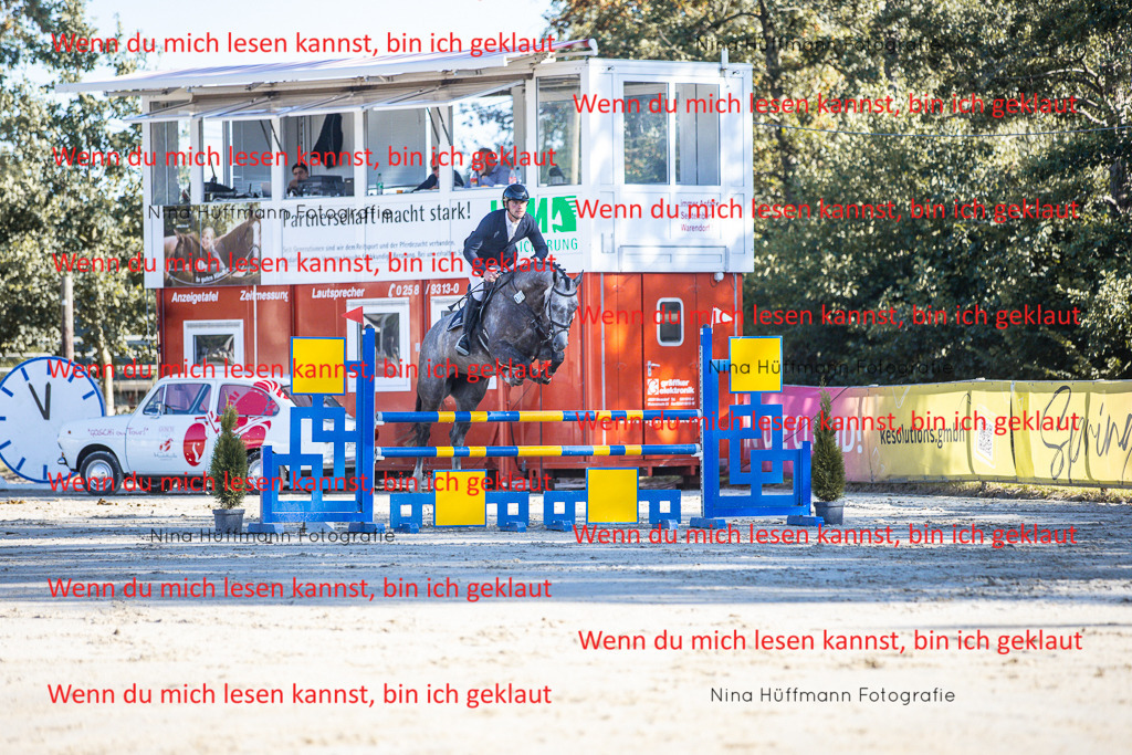 BK1A6009 | Turnierbilder Turnierfotos Nina Hüffmann Turnierfotografie Pferdefotografie Tierzeichnung Haustierzeichnung Pferdezeichnung Hundezeichnung Videograf  - Realisiert mit Pictrs.com