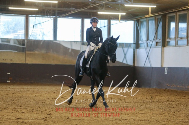 IMG_7212 | Turniersportfotografie; Pferdefotografie; Dressurfotografie