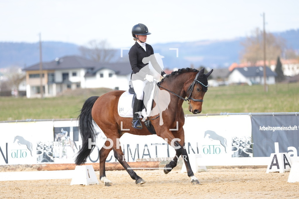 0P6A7469 | Willkommen bei Brunnmayr - Design & Fotografie – Ihrem Spezialisten für Reitturniere und Pferdeveranstaltungen in Oberösterreich, Salzburg und Bayern! Seit über 17 Jahren sind wir leidenschaftlich dabei.