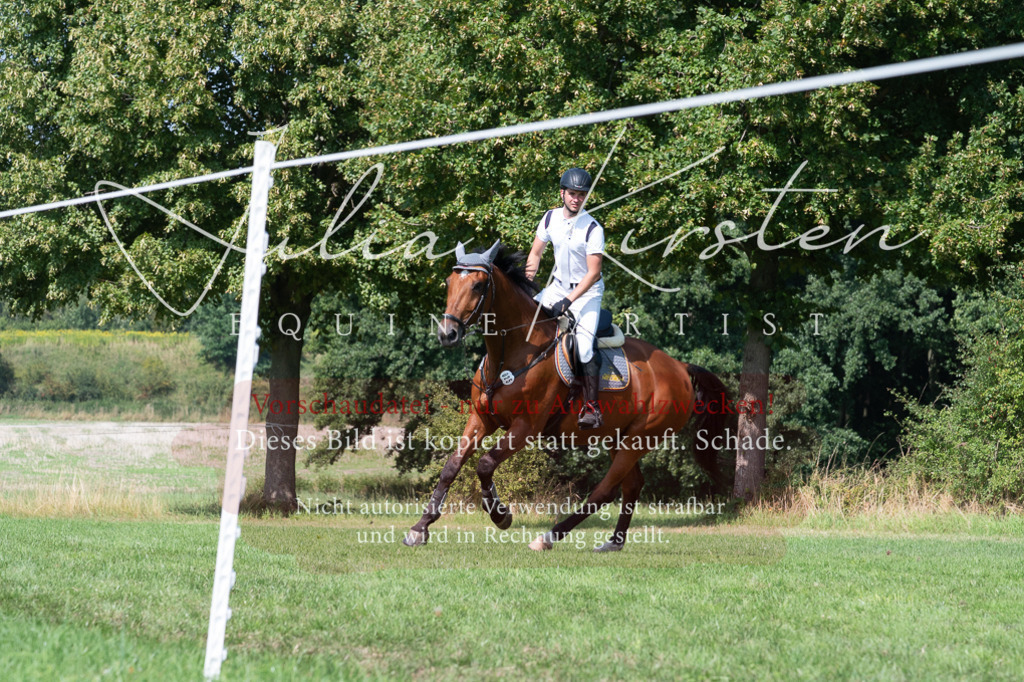 DSC_0818 | Pferde- und Turnierfotografie in Westsachsen. Pferdeportraits, Auftragszeichnungen und intuitive Kunst.