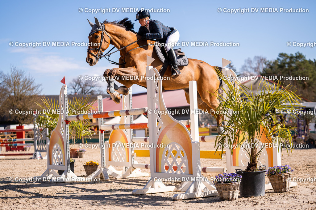 Kranichstein Tag 2-758 | dv-media-shop - Realisiert mit Pictrs.com