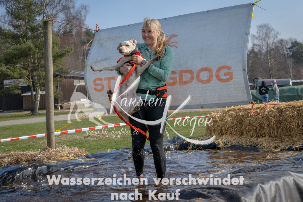_ZZ91179 | kk-dogfotos