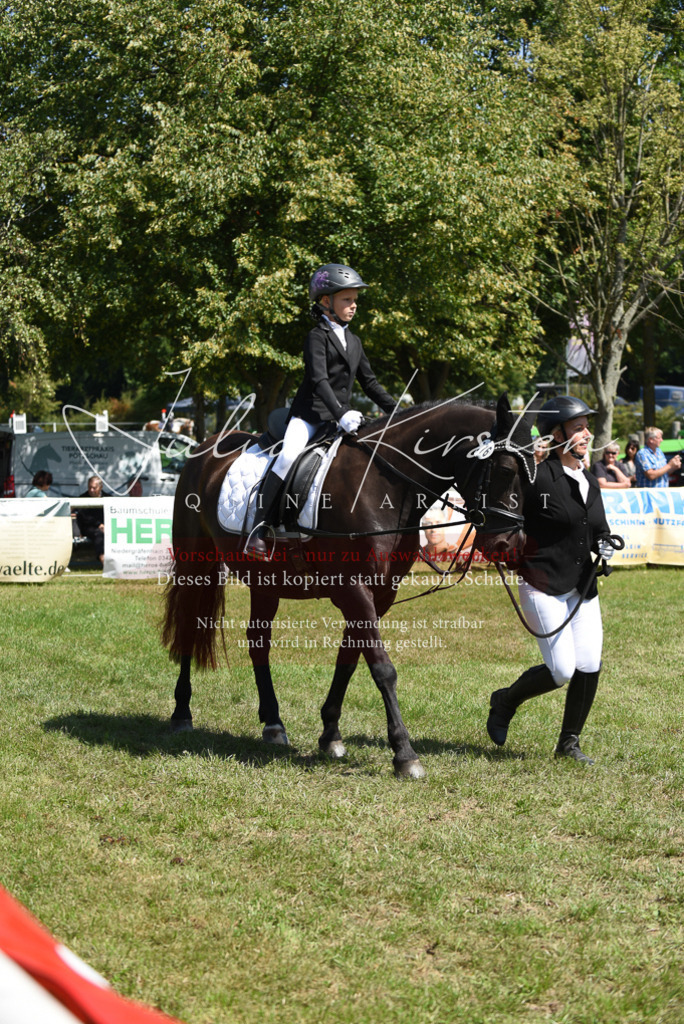 DSC_9781 | Pferde- und Turnierfotografie in Westsachsen. Pferdeportraits, Auftragszeichnungen und intuitive Kunst.