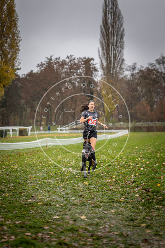 CaniXpix_DV3A9072 | Hundefotografie, Tierfotograf, Pfotenfotografie, Fotoshooting Hund, Hunde Portrait, Hundesport, Hundeportraits, Heideshooting, Hunde, Sportfotograf, Hundefotograf, Turnierhundsport, THS,  - Realisiert mit Pictrs.com