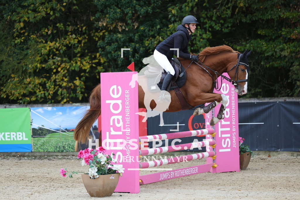 0P6A1285 | Willkommen bei Brunnmayr - Design & Fotografie – Ihrem Spezialisten für Reitturniere und Pferdeveranstaltungen in Oberösterreich, Salzburg und Bayern! Seit über 17 Jahren sind wir leidenschaftlich dabei.