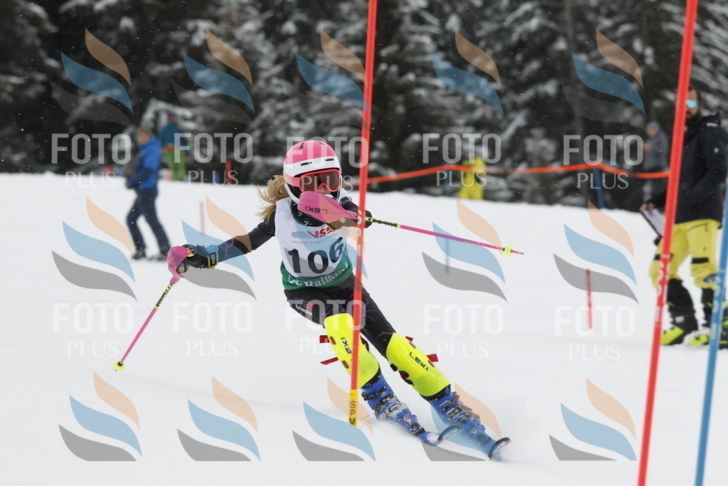 A1558 | holidayphoto