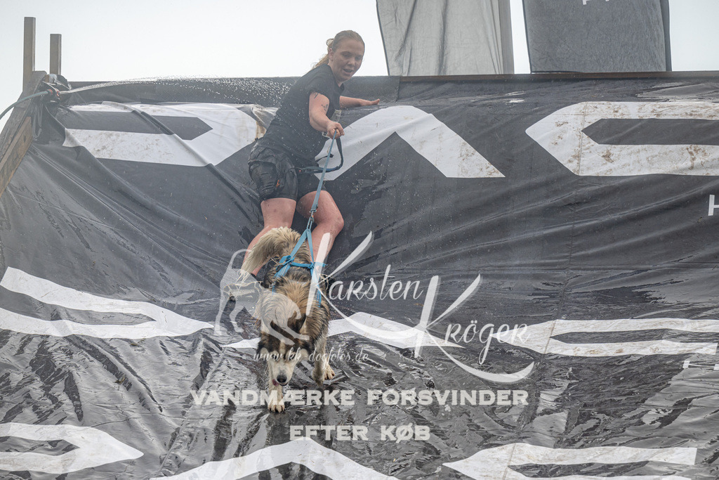 1048_ZZ91639 | kk-dogfotos