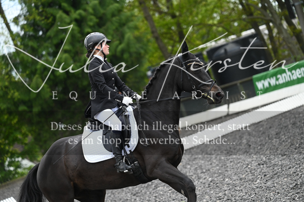 20230512_JK-Röhrsdorf-07-018 | Pferde- und Turnierfotografie in Westsachsen. Pferdeportraits, Auftragszeichnungen und intuitive Kunst.