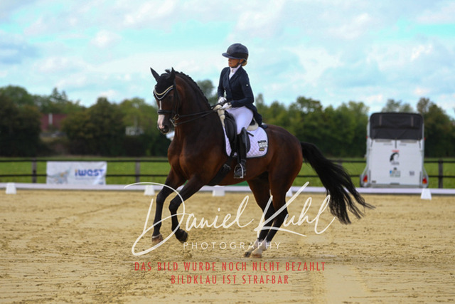 DKP44453 | Turniersportfotografie; Pferdefotografie; Dressurfotografie