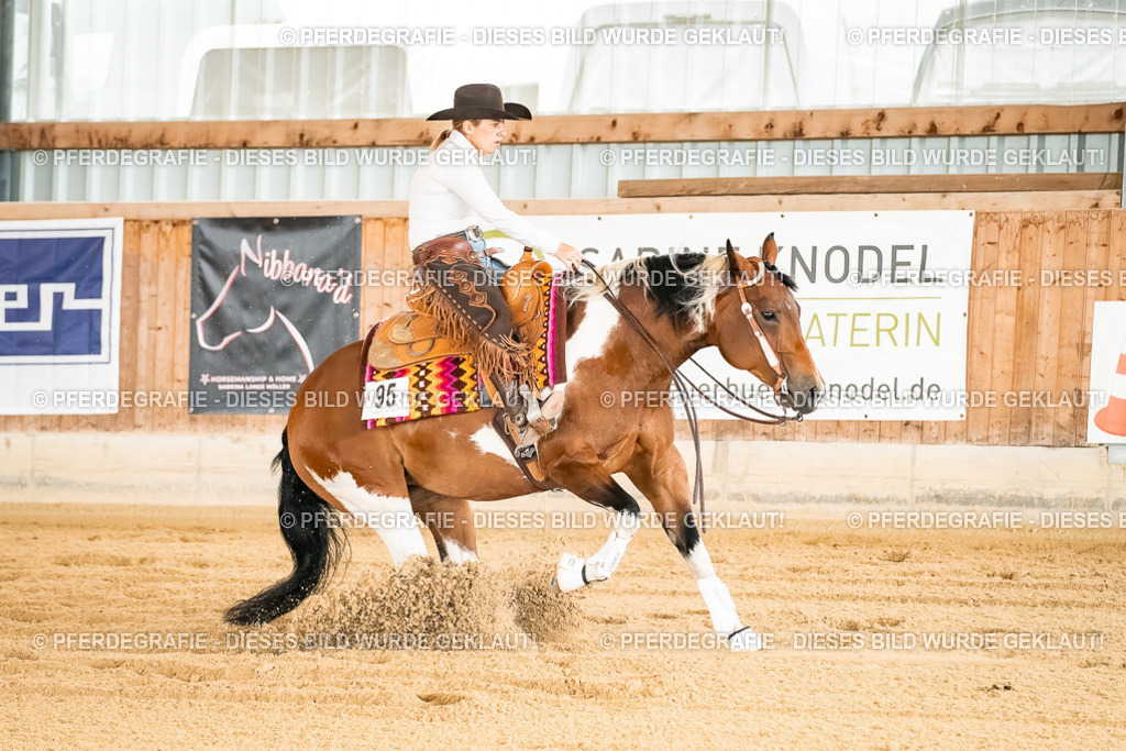 DSC01922 | Pferdegrafie