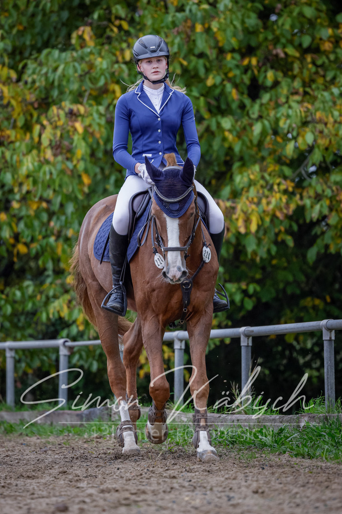 20251012-_3LI2878 | Tierfotografie Pferde, Hunde, Katzen, Haustiere.
Turnierfotografie Reitturniere, Reiten, Springreiten, Dressur in Hanau, dem Main-Kinzig-Kreis und dem Rhein-Main- Gebiet um Frankfurt