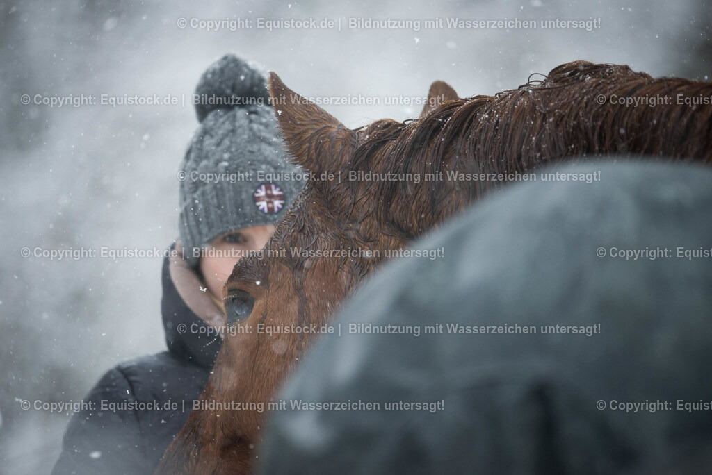 TS_20180217_Schneegest__ber_Pferd_Mensch_0001 | Foto: Thomas Hartig