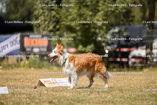 _DSC6741 | levihelfersfotografie