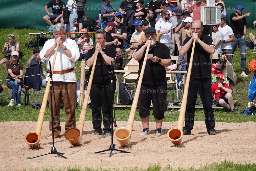 DSC01036 | Schwingen - Realisiert mit Pictrs.com