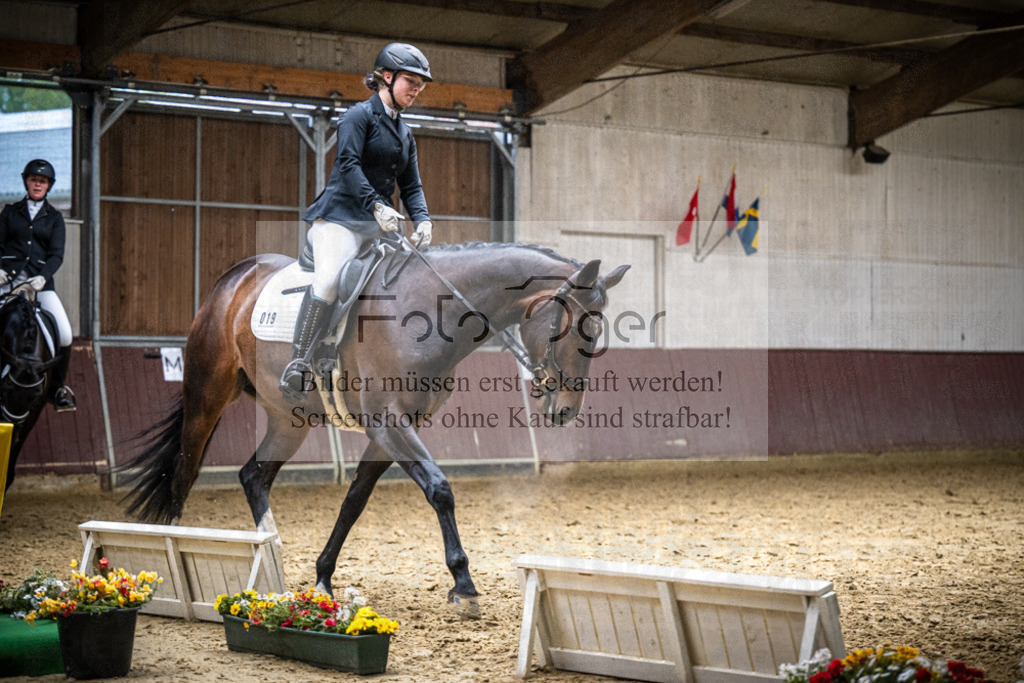 DOS_0356 | Reitturnier Lüdinghausen - Realisiert mit Pictrs.com