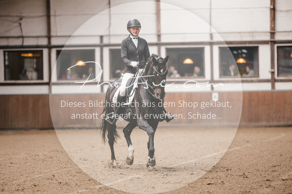 3I6A8146 | Stimmungsvolle Portraits und Reitsportfotografie im Ruhrgebiet und im Münsterland.

Pferdefotografie, Hundefotografie, Tierfotografie, Reportagen, Portraits von Tier und Mensch, Turnierfotografie in Bochum, Recklinghausen, Marl, Haltern am See, Dülmen.. - Realisiert mit Pictrs.com