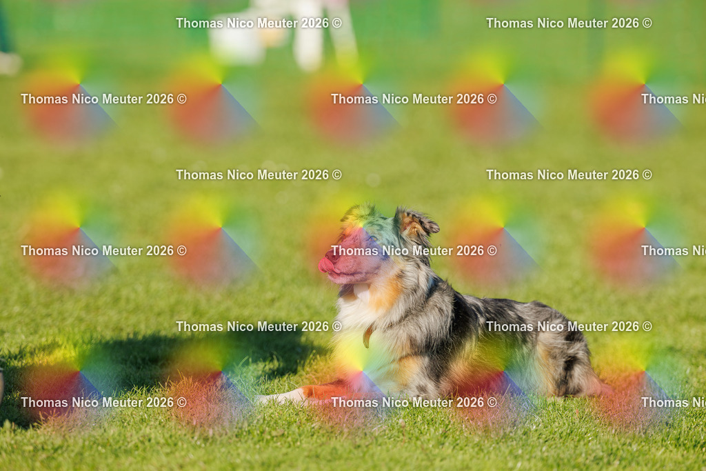 Thomas_Nico_Meuter(C)_04. Oktober 2026_223A3969 | Bild von Thomas Nico Meuter - Realisiert mit Pictrs.com
