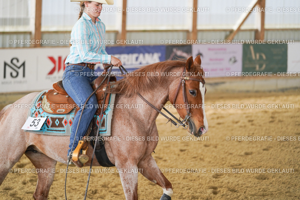 DSC05742 | Pferdegrafie