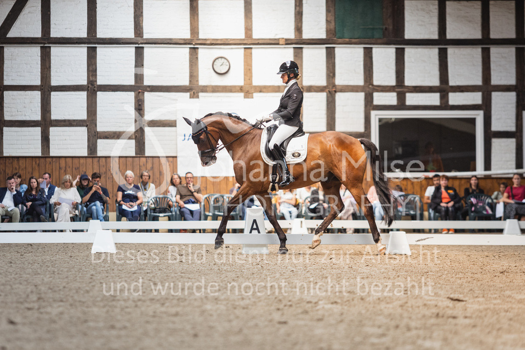 230729_BHO_Para_WB-364 | Deine schönsten Turniermomente als professionelle Fotos! Entdecke hochwertige Pferdesport-Fotografie im Online-Shop. Jetzt Fotos finden & bestellen!