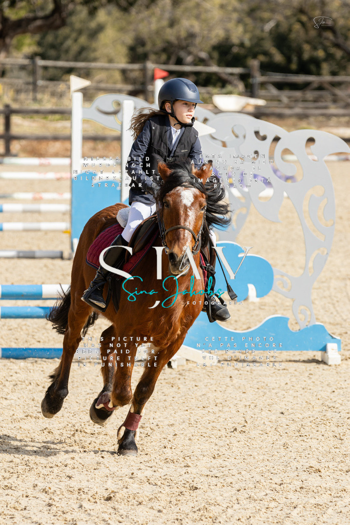 IMG_4395 | s-jay-photography - Realisiert mit Pictrs.com