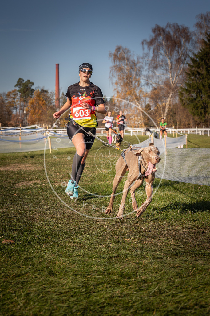 CaniXpix_0L8A8562 | Hundefotografie, Tierfotograf, Pfotenfotografie, Fotoshooting Hund, Hunde Portrait, Hundesport, Hundeportraits, Heideshooting, Hunde, Sportfotograf, Hundefotograf, Turnierhundsport, THS,  - Realisiert mit Pictrs.com