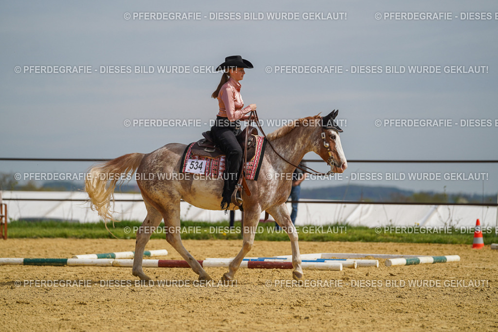 DSC04111 | Pferdegrafie