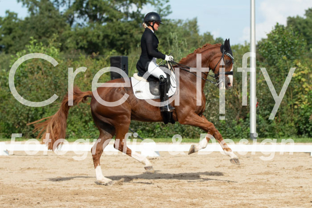 IMG_4276 | Creatify Fotografie