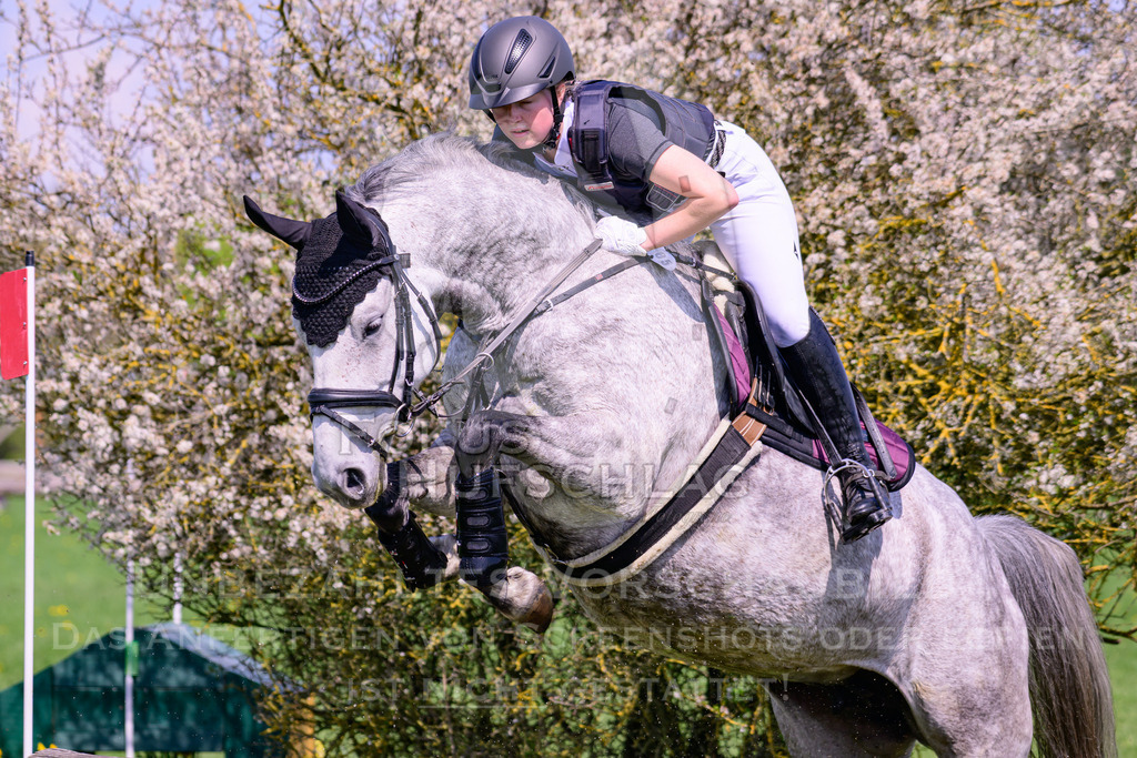 18042026-Gernlinden-01-1-0239 | Fokus Hufschlag Fotografie - Realisiert mit Pictrs.com